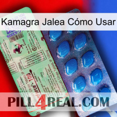 Kamagra Jalea Cómo Usar new02